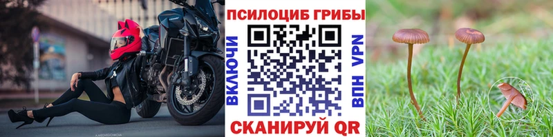 купить   Магас  кракен как зайти  Галлюциногенные грибы мухоморы 